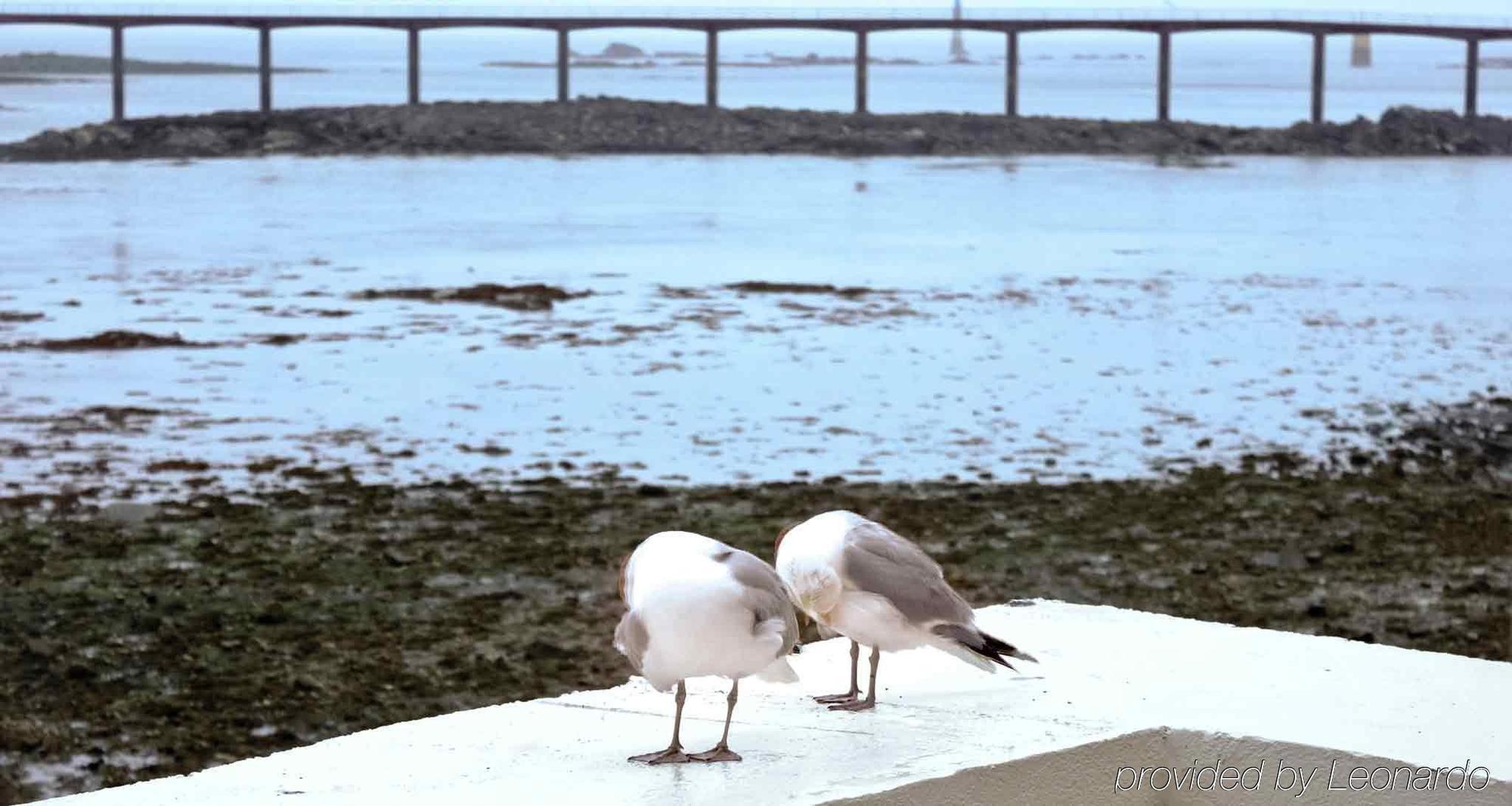 Ibis Roscoff Hotel Buitenkant foto